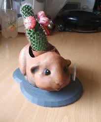 free stl file guinea pig flower pot