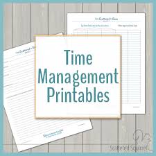 Time Management Scattered Squirrel