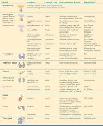 Endocrine Organs List Apbiologywiki Animal Systems
