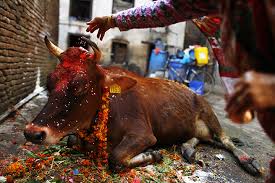 Image result for tihar festival of nepal