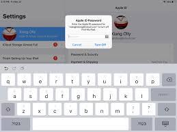 remove apple id from ipad without pword