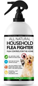 flea spray for the home natural flea