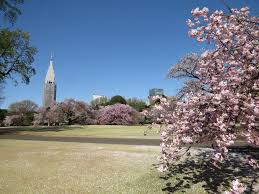 shinjuku gyoen national garden travel