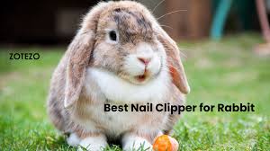 best nail clippers for rabbits in