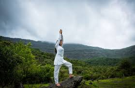 16 must visit yoga retreats in india