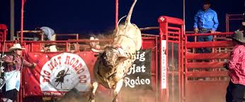 Choose from hundreds of plain and themed birthday party decorations including banners, bunting, paper decorations, pom poms, scene setters and more. Big Hat Rodeo Co Pro Rodeos Bull Riding Family Entertainment