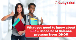 bachelor of science program from ignou