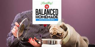 13 balanced homemade dog food recipes