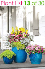 colorful mixed pots flower gardening