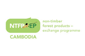 Administrative coordinator job summary you will organize, manage, and perform an extensive array of secretarial, administrative, and program support activities on behalf of the vice president, assistant vice president, and other senior officers of the company. Finance And Administrative Coordinator Urgent With Non Timber Forest Products Exchange Programme Ntfp Ep Cambodia