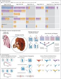 Tracking The Evolution Of Non Small Cell Lung Cancer Nejm