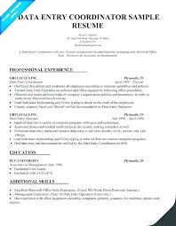 Creative Resume Objective Resume Pro
