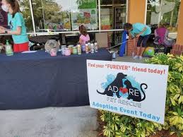Doing business as adore, we are dedicated to saving, supporting, and giving comfort to homeless, at … small dog rescue orlando fl › verified 7 days ago Adore Pet Rescue Pet Supplies Plus Oviedo Fl 10 July 2021