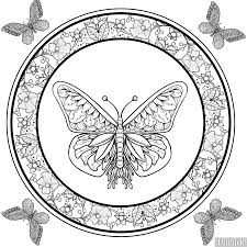 Nature has endowed them with fragile wings and beautiful colors with wonderful patterns. 25 Free Printable Butterfly Coloring Pages