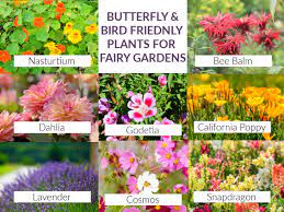 35 Best Fairy Garden Plants I Ve