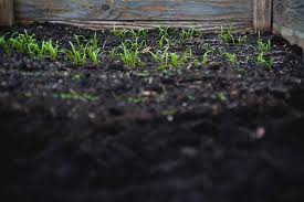 How To Improve Soil Quality