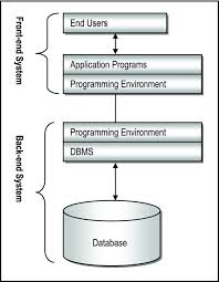 the database system environment