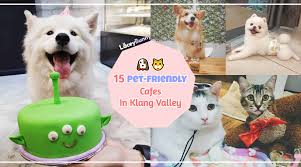 Sri damansara pet medical centre. 15 Pet Friendly Cafes In Kl Selangor Pj Bangsar More Updated