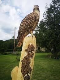 chainsaw and power carving artist