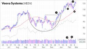 Investing In Stocks Locking In Profits With Veeva Stock