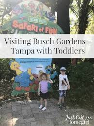 busch gardens ta bay for toddlers