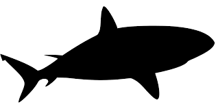 Free svg image & icon. Svg Ocean Jaws Water Shark Free Svg Image Icon Svg Silh