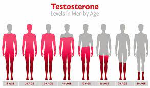 testosterone levels by age
