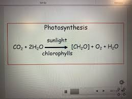 Photosynthesis Life Processes Part A