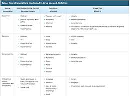 Impacts Of Drugs On Neurotransmission National Institute