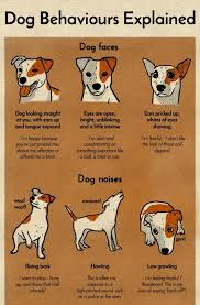 A Chart That Will Help You Finally Understand Your Dog