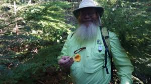 mushroom hunting oregon trails travel