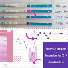 How To Use Cheap Ovulation Tests Lh Strips Ingefleur