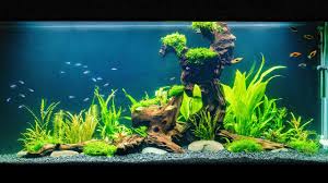 building a giant planted fish tank