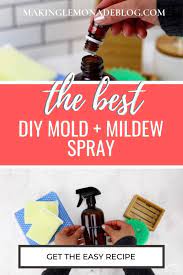 homemade mold and mildew spray making