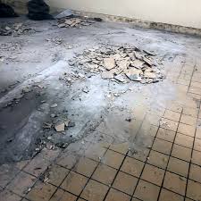 grand rapids tile removal xtreme