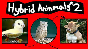 Internet Names For Hybrid Animals Pt 2