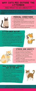 why cats outside the litter box