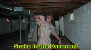 Snake In The Basement How To Get A