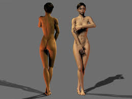 Free Human 3d Models For Educational Purposeswebpage 1 Of 39 Most
