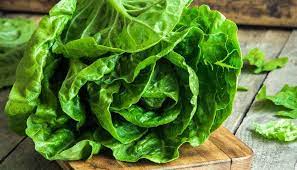 romaine lettuce nutritional