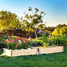 The wiki is a participant in associate programs from amazon, walmart, ebay. The Best Raised Garden Beds To Buy Right Now Martha Stewart