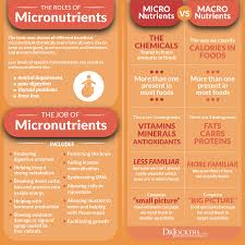 what are micronutrients and how to test