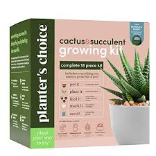 Succulent Growing Kit Wmoisture U