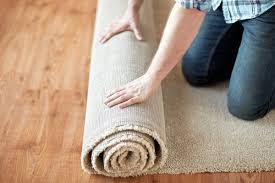remove mould from your carpets