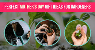 Day Gift Ideas For Gardeners