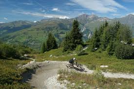 Top picks related reviews newsletter. 5 Resorts For Cheap Downhill Mountain Biking Holidays In France