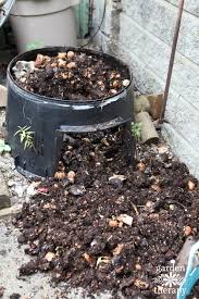 Rats Solve Compost Bin Pest Problems