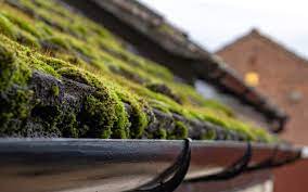 safely remove moss from your roof