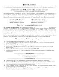 Sample Resume India   Free Resume Example And Writing Download Internet Marketing Consultant Resume samples