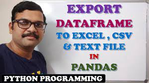 export dataframe to excel csv text